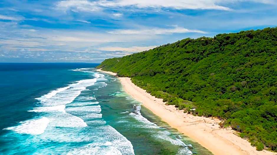 Sweet Healing Culture