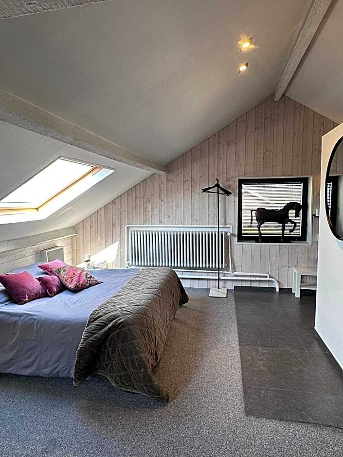 B&B 't zwart peird