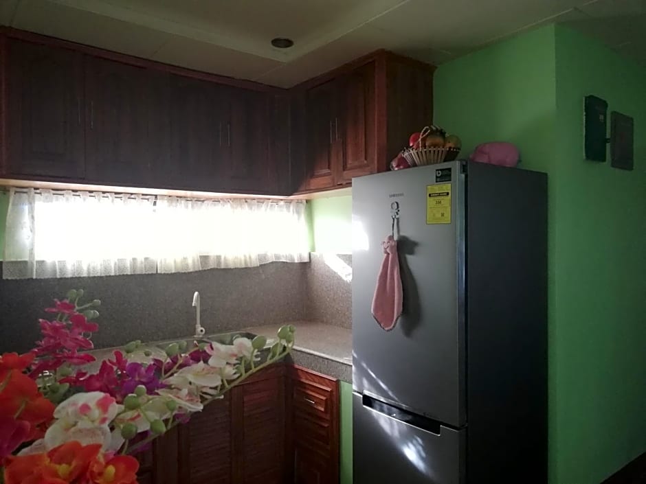 Vievan's transient house