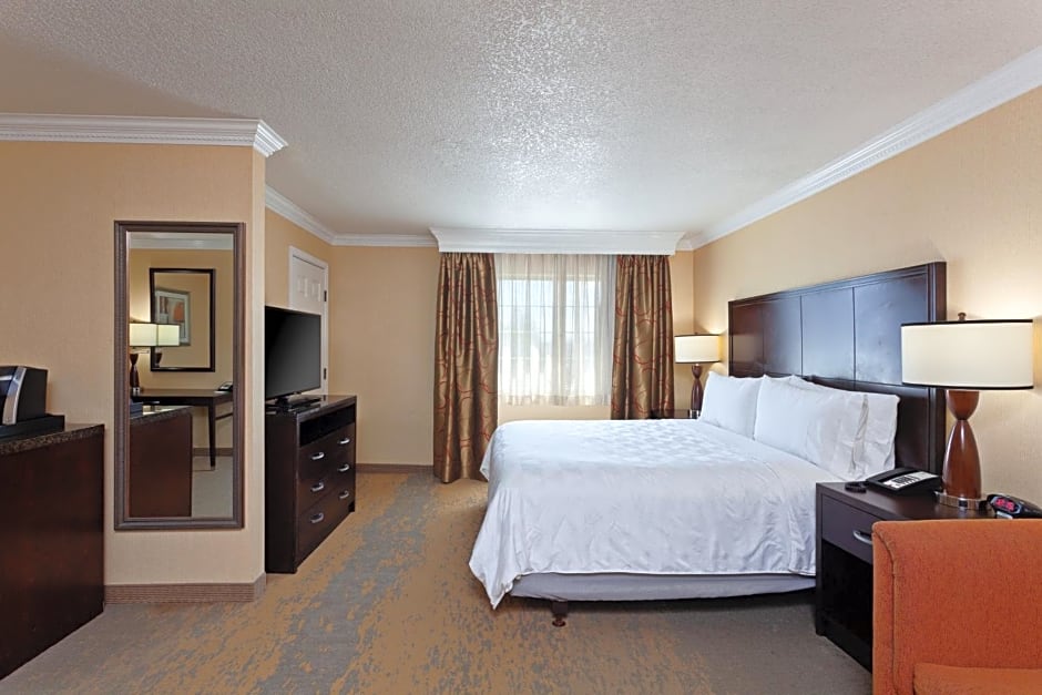 Holiday Inn & Suites San Mateo - SFO By IHG