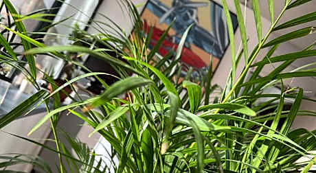 hotel vieille tour centre rouen