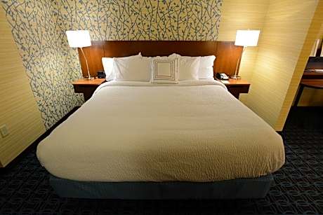 Room, 1 King Bed with Sofa bed (Mobility/Hearing Access, Roll-In Shwr)