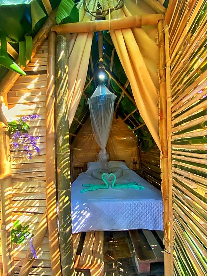 Green House Chalé, hostel e pousada