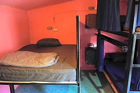 Bunk Bed in Mixed Dormitory Room