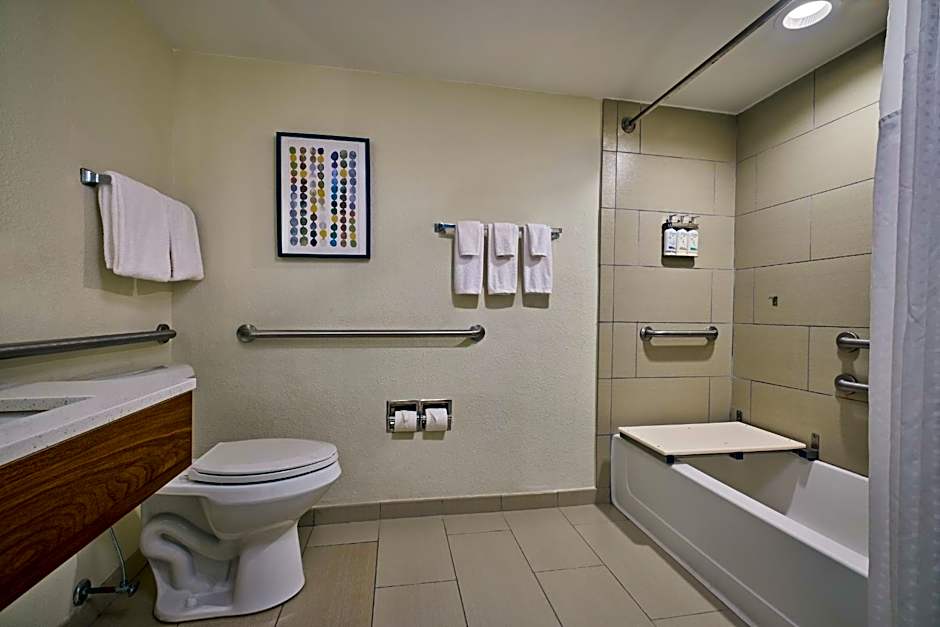 Holiday Inn Express & Suites Charleston Dwtn  West Edge By IHG