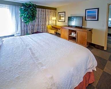 Hampton Inn South Haven