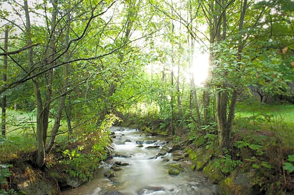 Ortners Eschenhof - Alpine Slowness