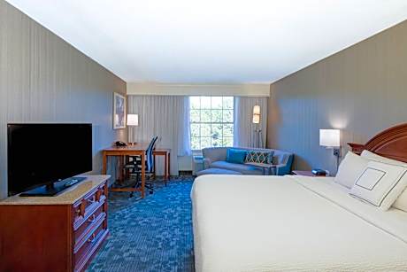 Room, 1 King Bed with Sofa bed (Mobility/Hearing Accessible, Tub) (1 King Bed and 1 Double Sofa Bed)
