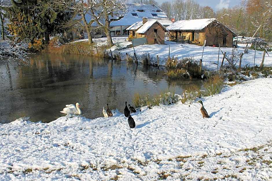 La Petite Ferme du Marais