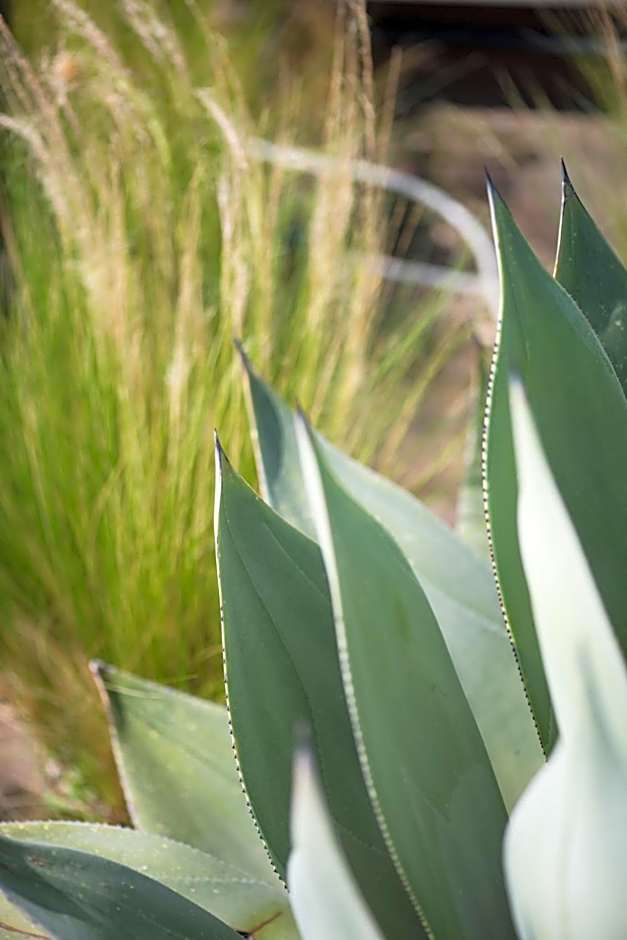 Aquae Sinis Albergo Diffuso