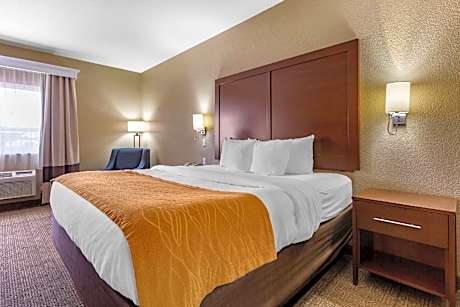 1 King Bed, Nonsmoking