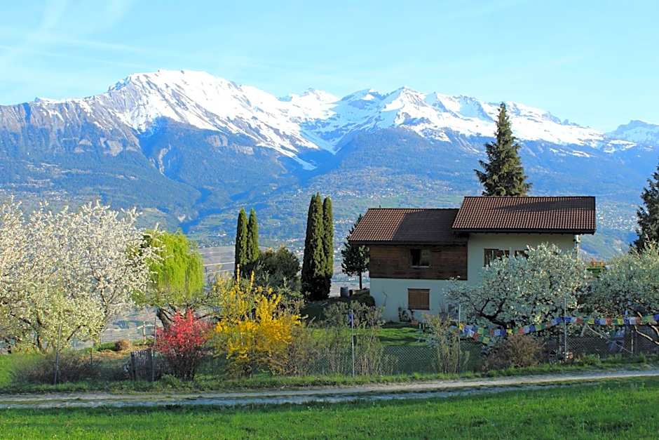 Domaine Bellevie BnB