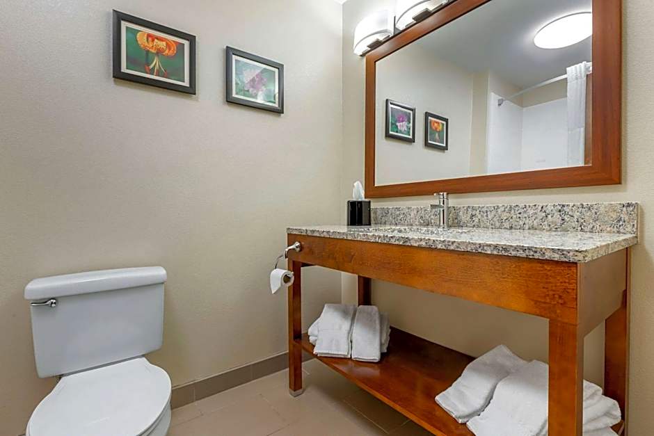 Comfort Inn & Suites Lenoir Hwy 321 Northern Foothills