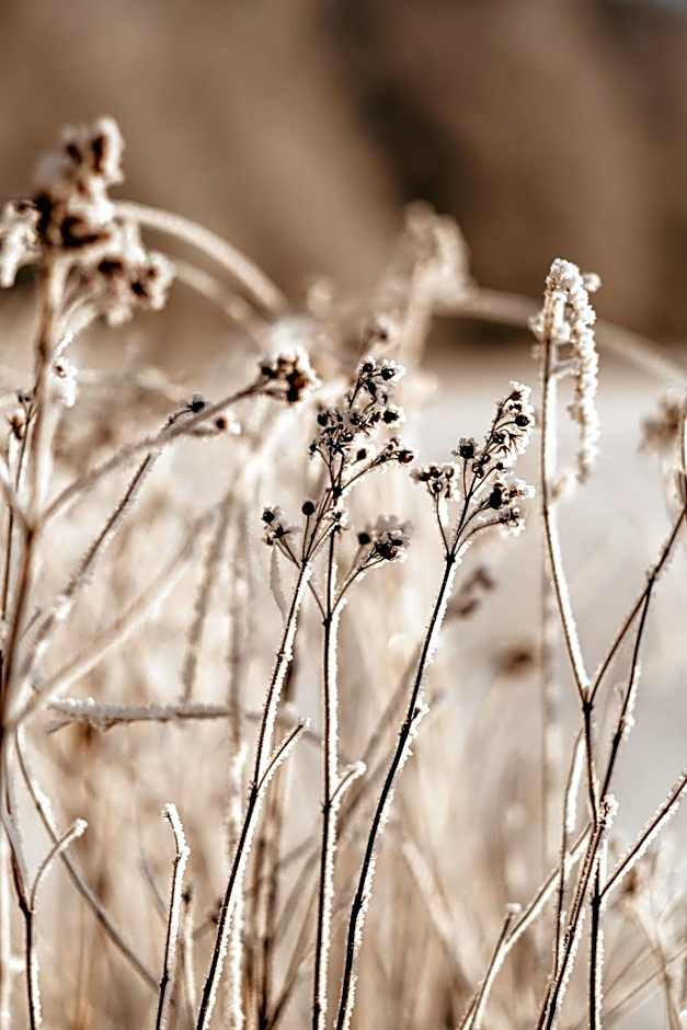 Stiftsgården Tallnäs