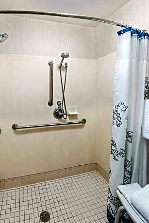 Studio, 1 Queen Bed with Sofa bed (1 Queen Bed and 1 Double Sofa Bed)