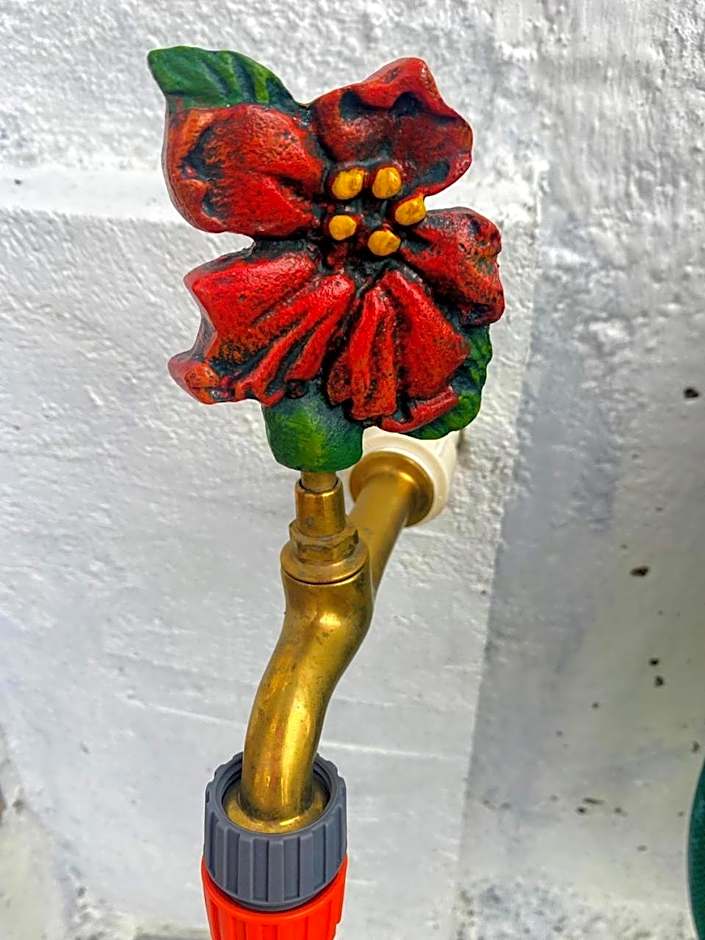 QUINTAL DO SON CHALÉS