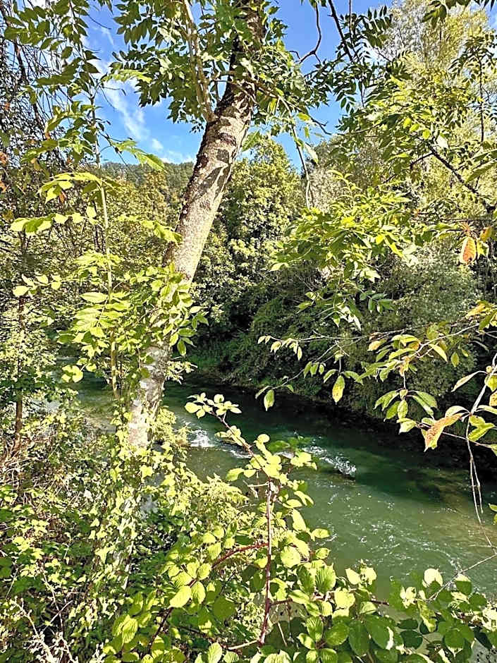 Business Hotel Riverside