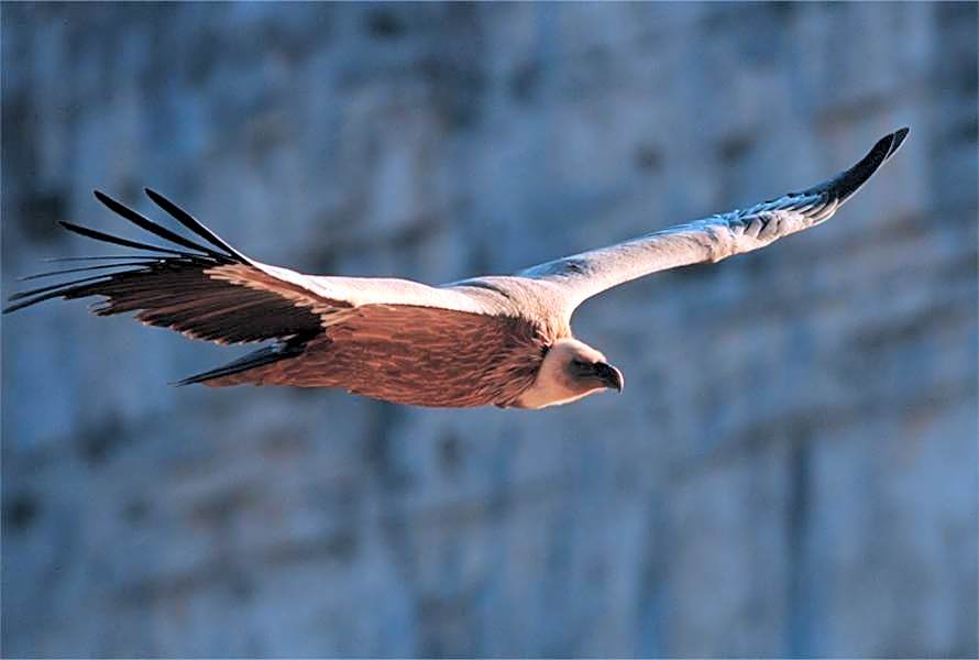 Hotel Les Restanques De Moustiers