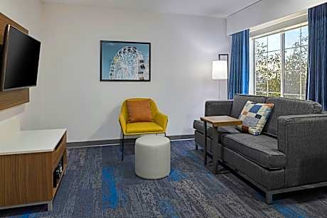 1 Bedroom Larger Suite, 1 King, Sofa bed