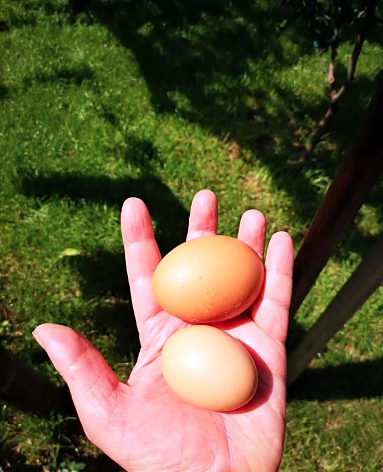 Tettoeletto Garden Bio