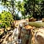 Hintok River Camp