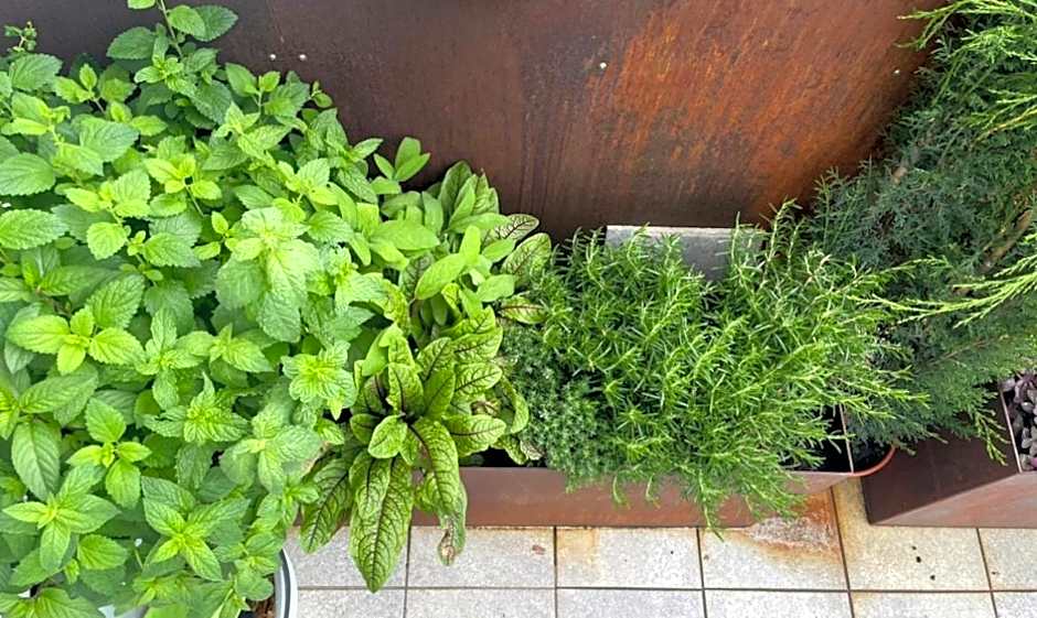 Das SinGold Hotel mit Highspeed WLAN und digitalem Schlüssel