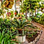 Royal Oasis Club At Pueblo Quinta