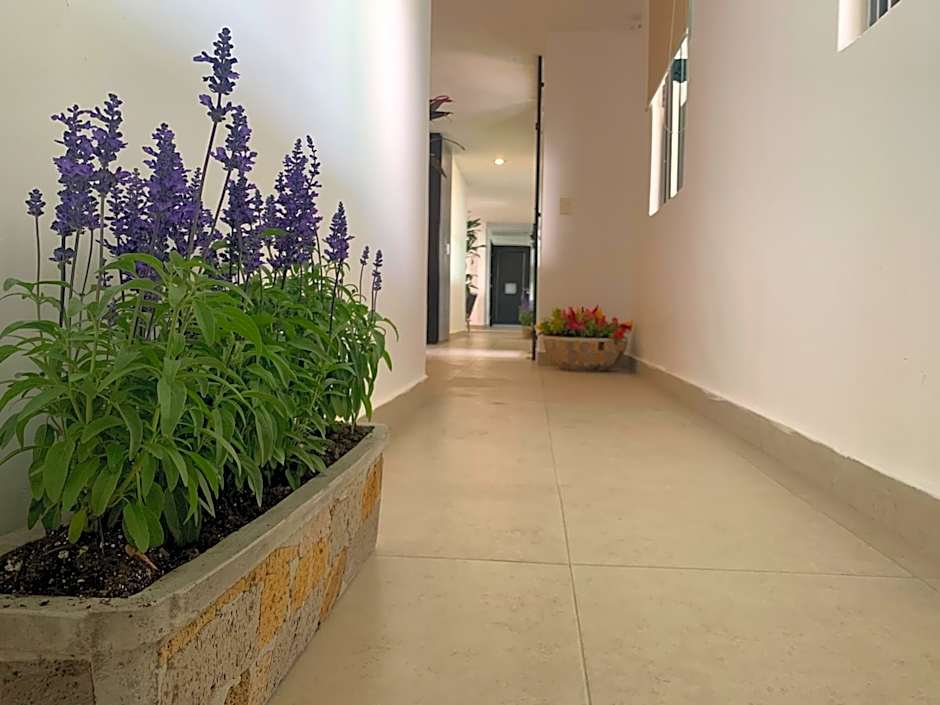 Hotel Escala Puebla Centro