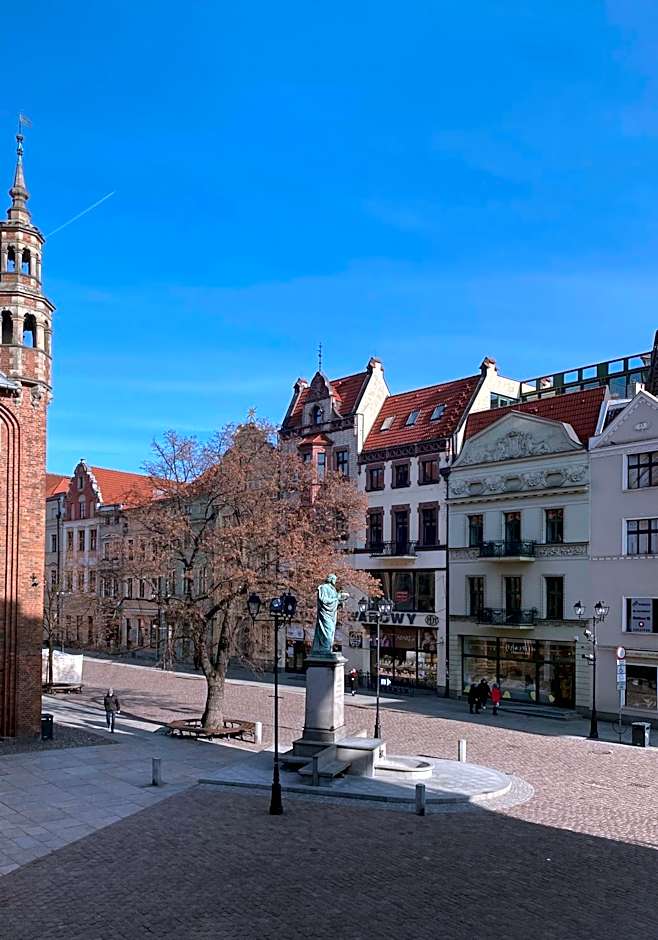 Apartamenty Sowa Toruń