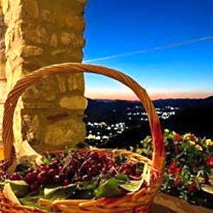 Hotel Villa Torre Antica