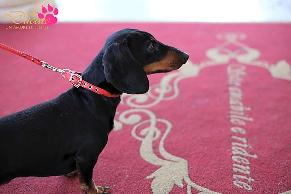 Villa Ducale Hotel & Ristorante