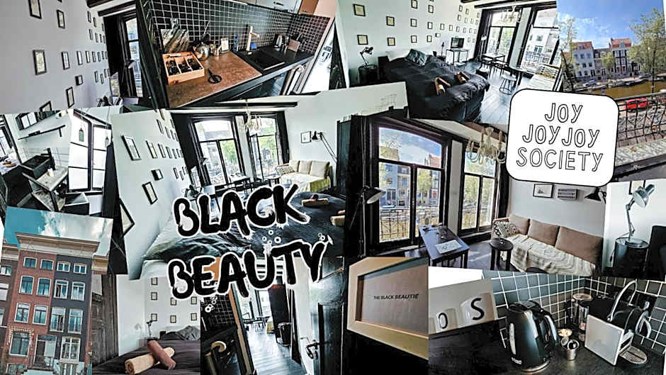 JoyJoyJoy the Black Beauty ecolicious studio in a canal house with French balcony with view on the canals