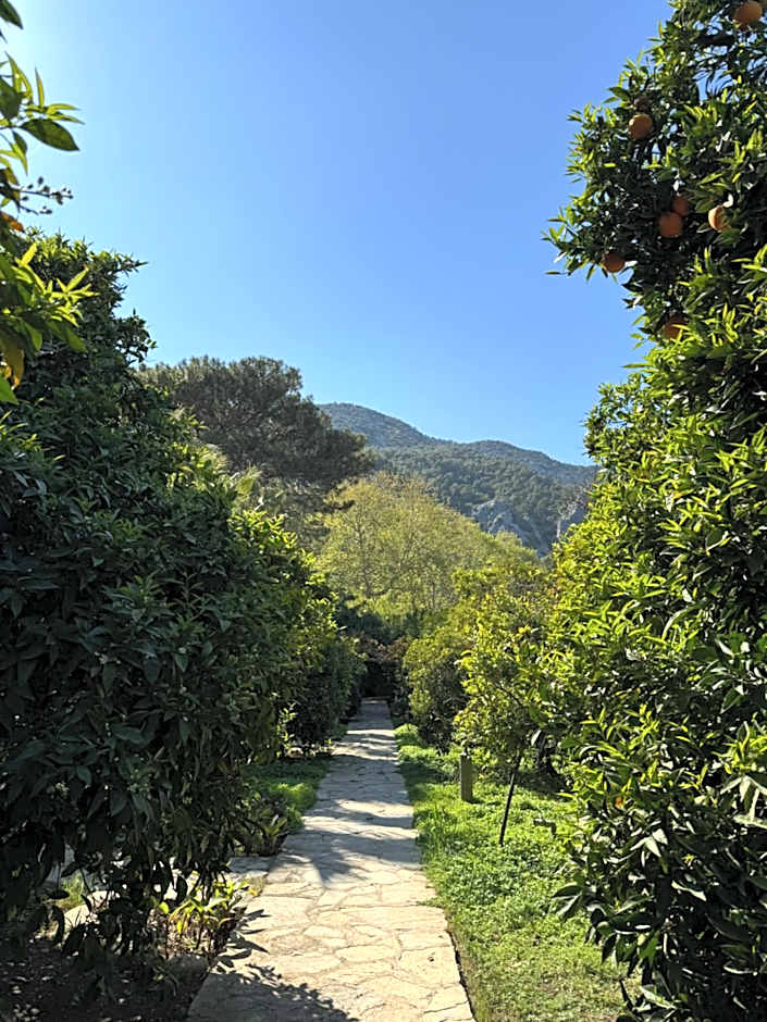 Hotel Yavuz Bungalow