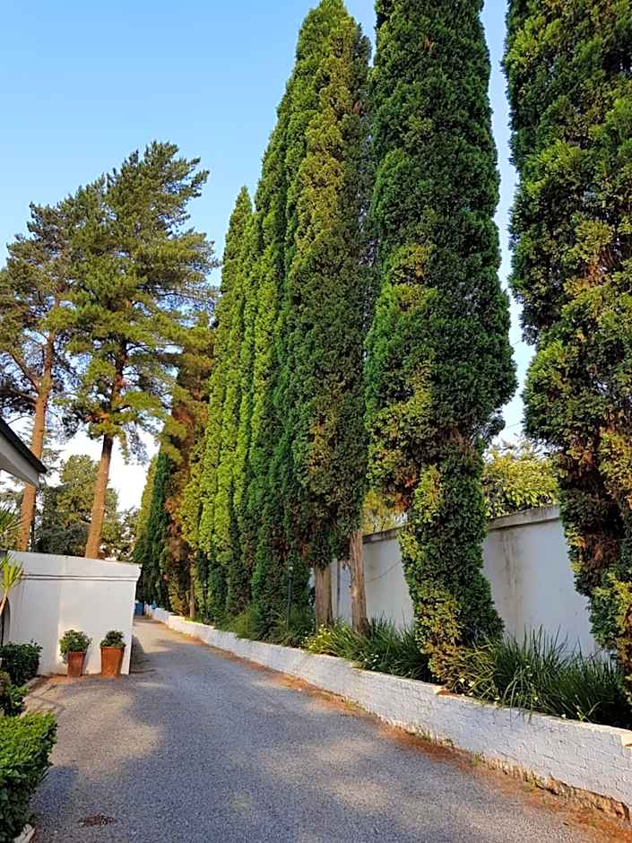 Pheasant Hill Bed and Breakfast