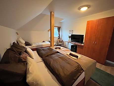 Restaurace Staré Sedlo