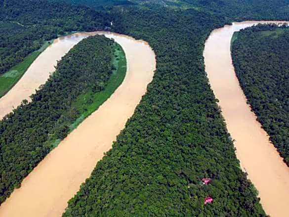 Borneo Jungle Adventure