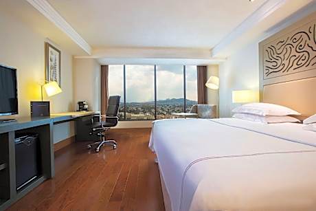 PREMIUM LEVEL MASTER SUITE