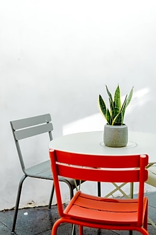 Double Room with Terrace