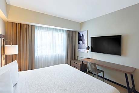 Room, 1 King Bed