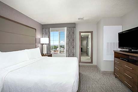 King Studio Suite - Non-Smoking