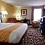 Quality Inn & Suites Clemmons I-40