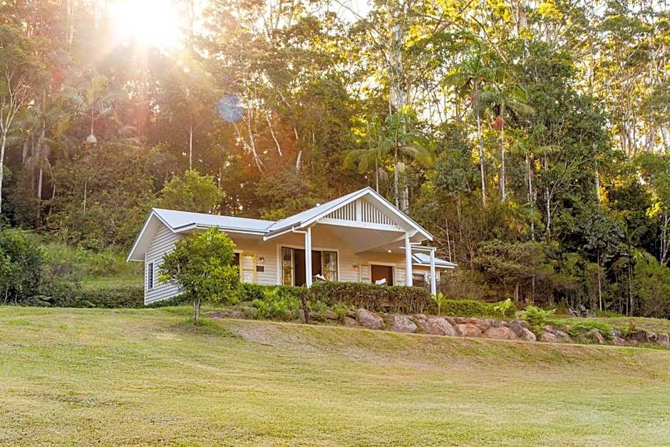 Nightcap Ridge - Byron Bay Hinterland