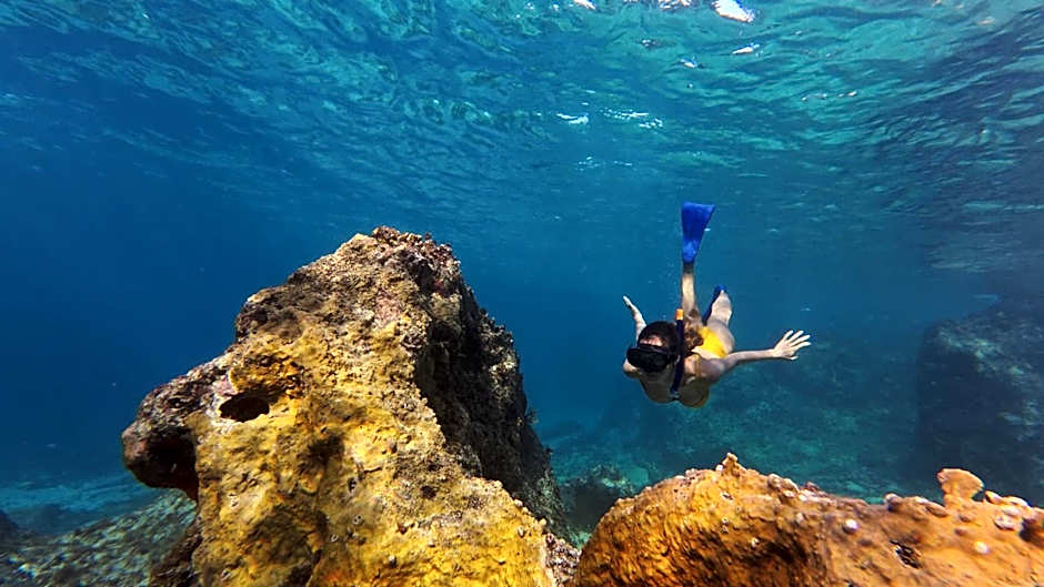 Cozumel Palace - All Inclusive