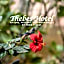 Thebes Hotel