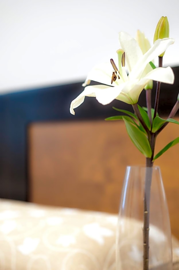 Hotel Restaurante Blanco y Verde