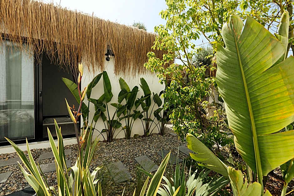 Primus Alacati Adult Only