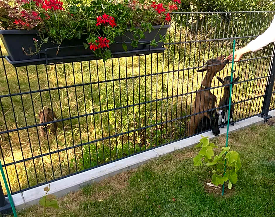 L'Attrap'Rêves : Le confort Hôtelier, la convivialité en plus