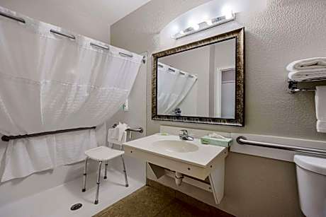 1 King Bed  No Smoking  Accessible Room