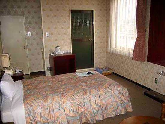 Minokamo Station Hotel