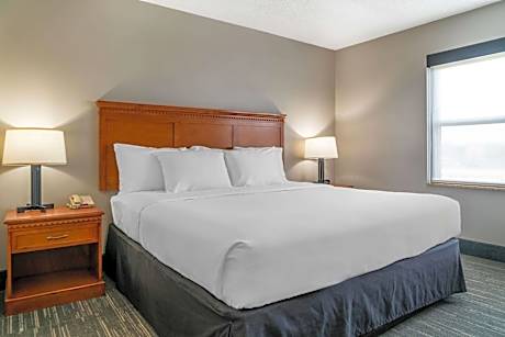 One-Bedroom King Suite with Sofa Bed